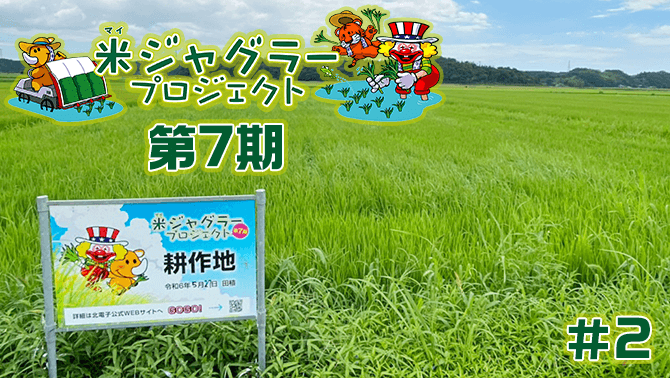 【第7期】米ジャグラープロジェクト月例報告 7月度